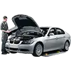 Interim Service (basic)